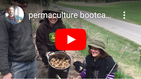 permaculture-bootcamp