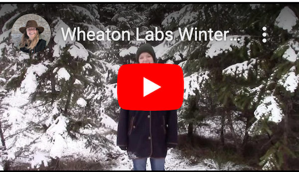 wheaton-labs-winter-tour