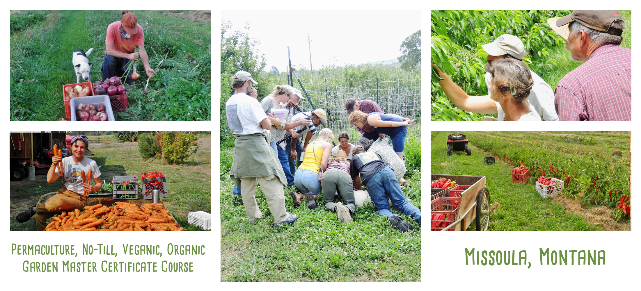 Permaculture Garden master course in Missoula Montana